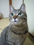とわきち14.jpg