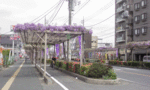 春日部ふじ通り.gif