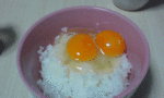 双子たまご.gif